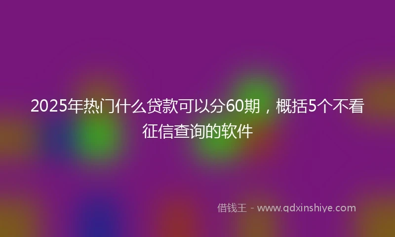 2025年热门什么贷款可以分60期，概括5个不看征信查询的软件