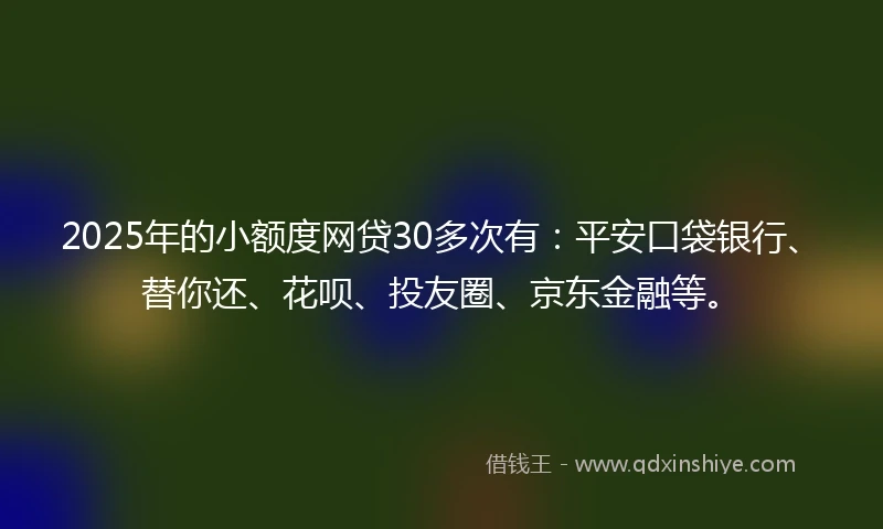 2025年的小额度网贷30多次有：平安口袋银行、替你还、花呗、投友圈、京东金融等。