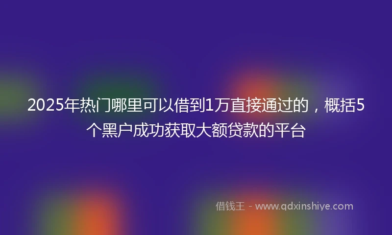 2025年热门哪里可以借到1万直接通过的，概括5个黑户成功获取大额贷款的平台