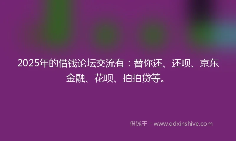 2025年的借钱论坛交流有：替你还、还呗、京东金融、花呗、拍拍贷等。