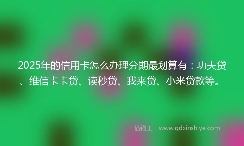 2025年的信用卡怎么办理分期最划算有：功夫贷、维信卡卡贷、读秒贷、我来贷、小米贷款等。