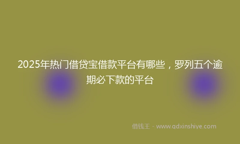 2025年热门借贷宝借款平台有哪些，罗列五个逾期必下款的平台