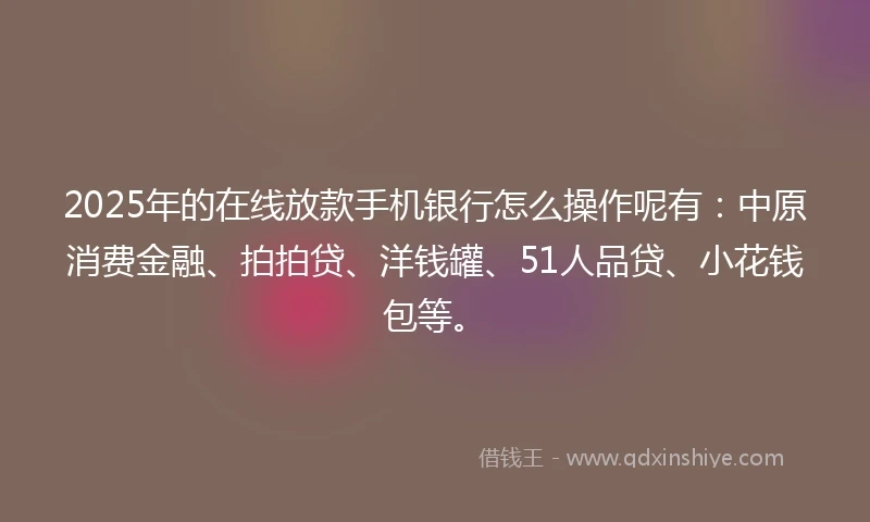 2025年的在线放款手机银行怎么操作呢有：中原消费金融、拍拍贷、洋钱罐、51人品贷、小花钱包等。