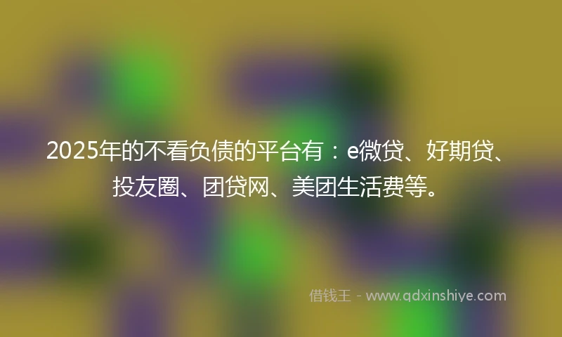 2025年的不看负债的平台有：e微贷、好期贷、投友圈、团贷网、美团生活费等。