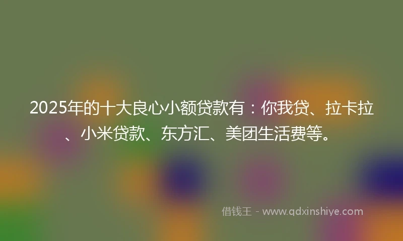 2025年的十大良心小额贷款有：你我贷、拉卡拉、小米贷款、东方汇、美团生活费等。