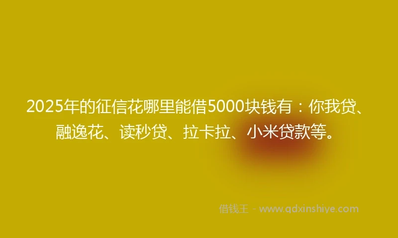 2025年的征信花哪里能借5000块钱有：你我贷、融逸花、读秒贷、拉卡拉、小米贷款等。