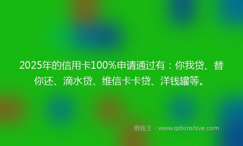 2025年的信用卡100%申请通过有：你我贷、替你还、滴水贷、维信卡卡贷、洋钱罐等。