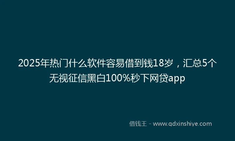 2025年热门什么软件容易借到钱18岁，汇总5个无视征信黑白100%秒下网贷app