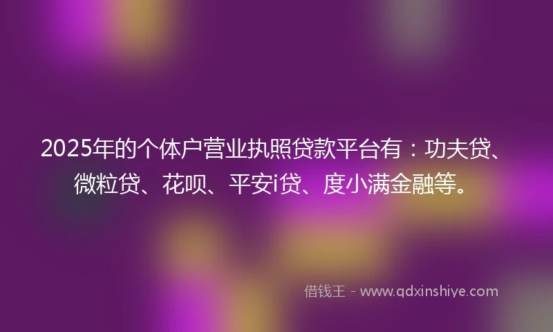 2025年的个体户营业执照贷款平台有：功夫贷、微粒贷、花呗、平安i贷、度小满金融等。