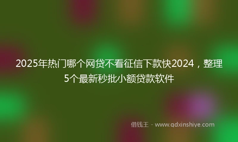 2025年热门哪个网贷不看征信下款快2024，整理5个最新秒批小额贷款软件