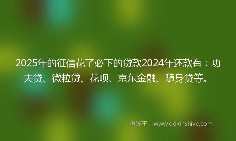 2025年的征信花了必下的贷款2024年还款有：功夫贷、微粒贷、花呗、京东金融、随身贷等。