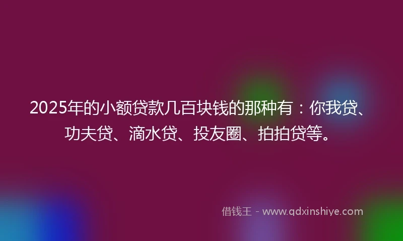 2025年的小额贷款几百块钱的那种有：你我贷、功夫贷、滴水贷、投友圈、拍拍贷等。