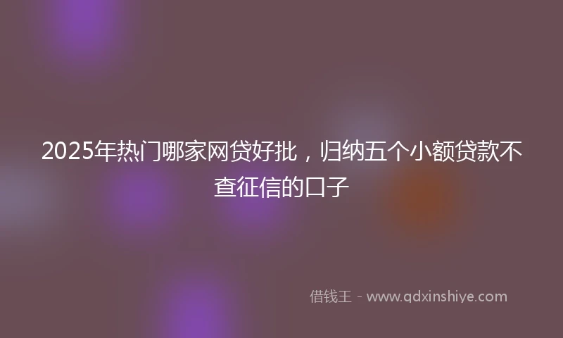 2025年热门哪家网贷好批，归纳五个小额贷款不查征信的口子