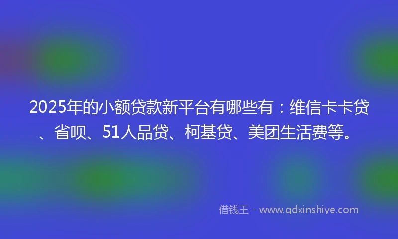 2025年的小额贷款新平台有哪些有：维信卡卡贷、省呗、51人品贷、柯基贷、美团生活费等。