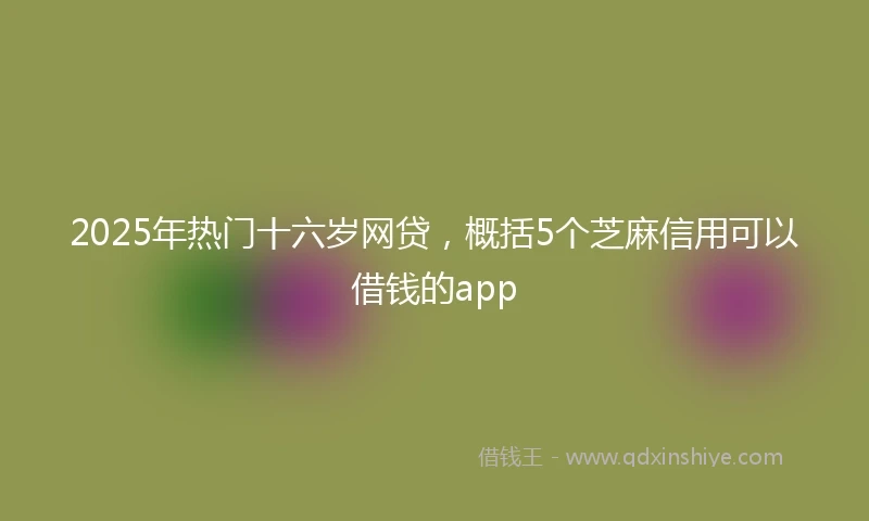 2025年热门十六岁网贷，概括5个芝麻信用可以借钱的app