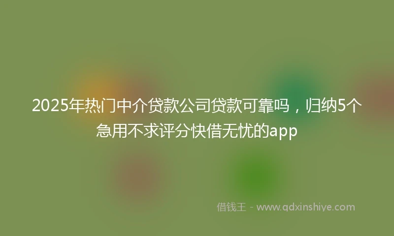 2025年热门中介贷款公司贷款可靠吗，归纳5个急用不求评分快借无忧的app