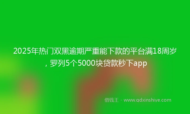 2025年热门双黑逾期严重能下款的平台满18周岁，罗列5个5000块贷款秒下app