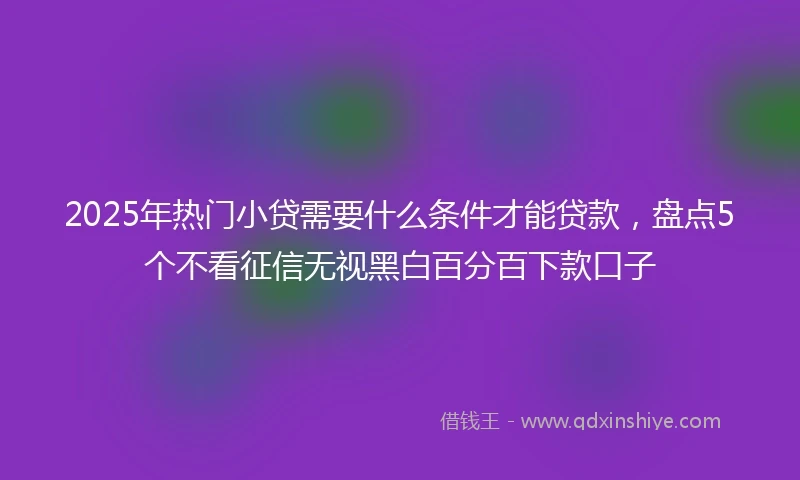 2025年热门小贷需要什么条件才能贷款，盘点5个不看征信无视黑白百分百下款口子