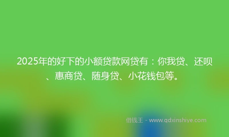 2025年的好下的小额贷款网贷有：你我贷、还呗、惠商贷、随身贷、小花钱包等。