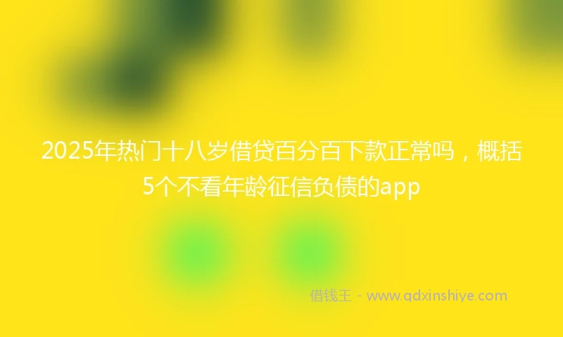 2025年热门十八岁借贷百分百下款正常吗，概括5个不看年龄征信负债的app