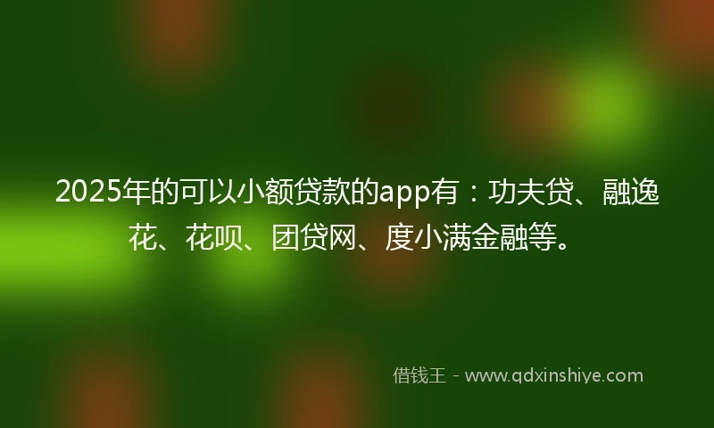 2025年的可以小额贷款的app有：功夫贷、融逸花、花呗、团贷网、度小满金融等。