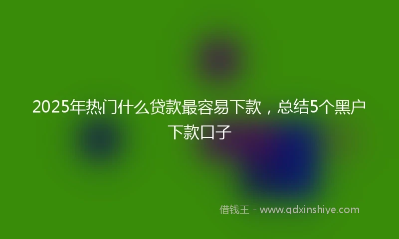 2025年热门什么贷款最容易下款，总结5个黑户下款口子