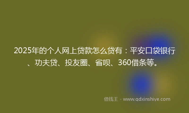 2025年的个人网上贷款怎么贷有：平安口袋银行、功夫贷、投友圈、省呗、360借条等。
