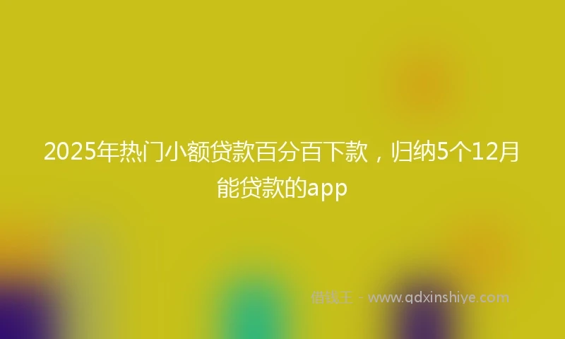 2025年热门小额贷款百分百下款，归纳5个12月能贷款的app