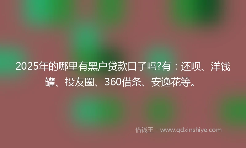 2025年的哪里有黑户贷款口子吗?有：还呗、洋钱罐、投友圈、360借条、安逸花等。