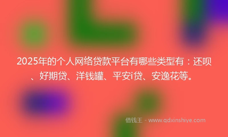 2025年的个人网络贷款平台有哪些类型有：还呗、好期贷、洋钱罐、平安i贷、安逸花等。