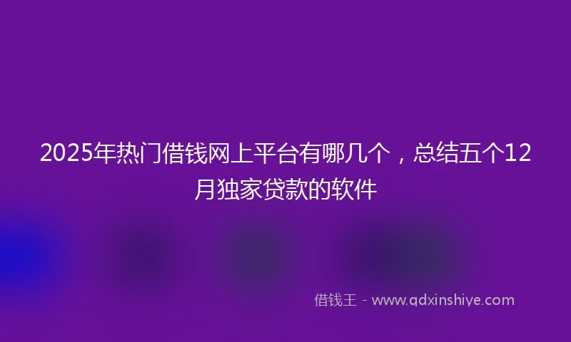 2025年热门借钱网上平台有哪几个，总结五个12月独家贷款的软件