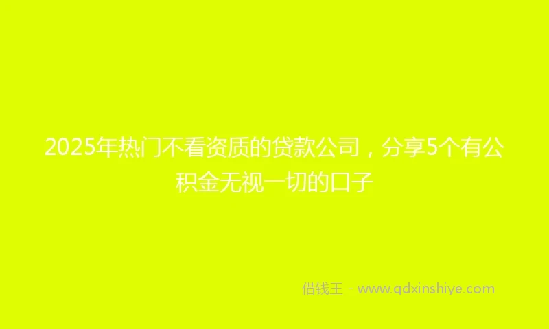 2025年热门不看资质的贷款公司，分享5个有公积金无视一切的口子