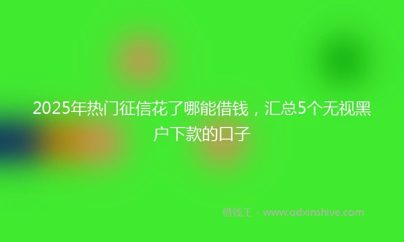 2025年热门征信花了哪能借钱，汇总5个无视黑户下款的口子
