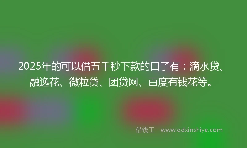 2025年的可以借五千秒下款的口子有：滴水贷、融逸花、微粒贷、团贷网、百度有钱花等。