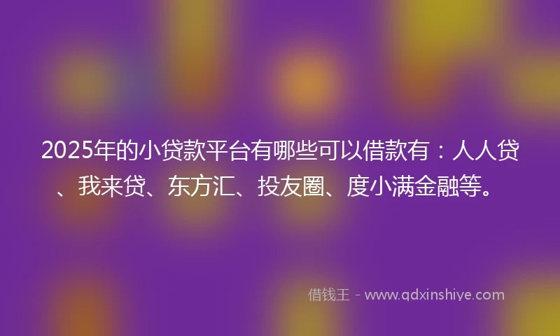 2025年的小贷款平台有哪些可以借款有：人人贷、我来贷、东方汇、投友圈、度小满金融等。
