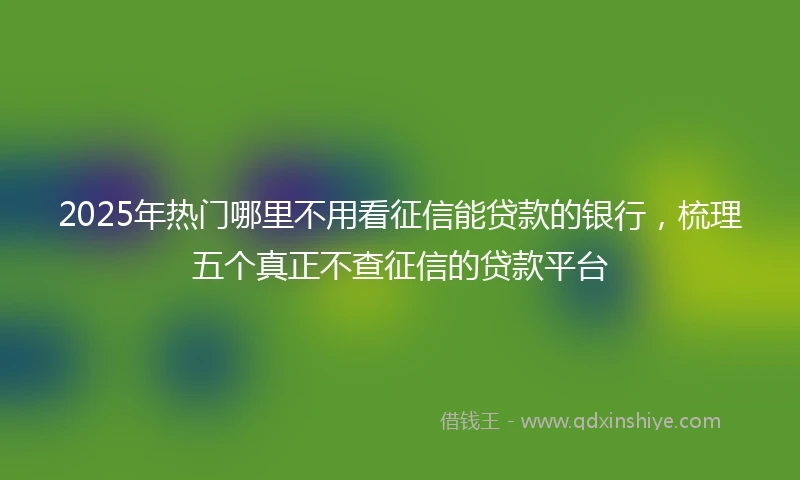 2025年热门哪里不用看征信能贷款的银行，梳理五个真正不查征信的贷款平台