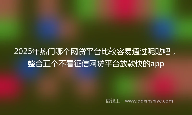 2025年热门哪个网贷平台比较容易通过呢贴吧，整合五个不看征信网贷平台放款快的app