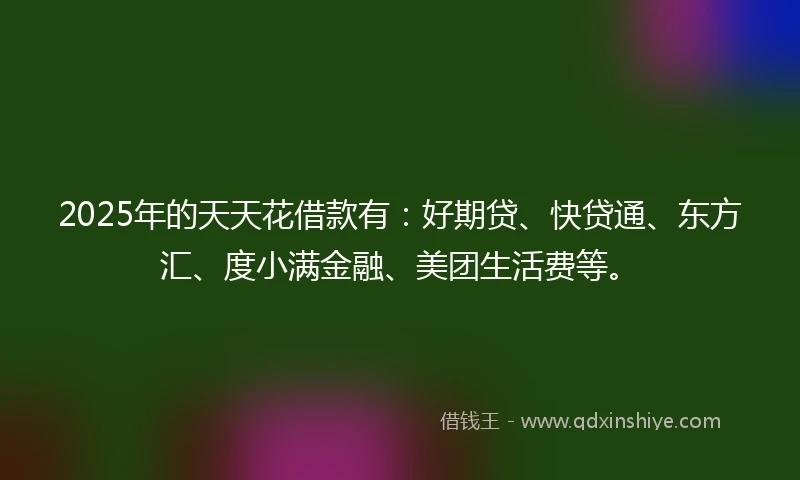 2025年的天天花借款有：好期贷、快贷通、东方汇、度小满金融、美团生活费等。