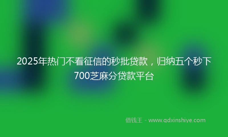 2025年热门不看征信的秒批贷款，归纳五个秒下700芝麻分贷款平台