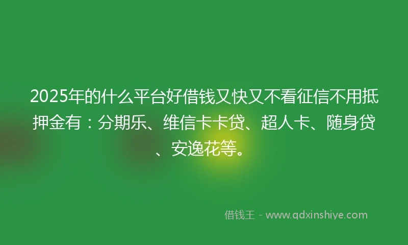 2025年的什么平台好借钱又快又不看征信不用抵押金有：分期乐、维信卡卡贷、超人卡、随身贷、安逸花等。