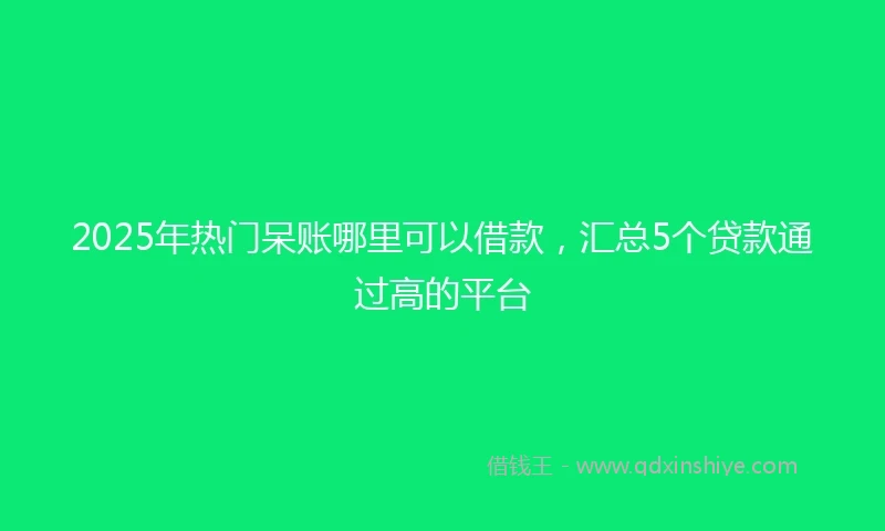 2025年热门呆账哪里可以借款，汇总5个贷款通过高的平台