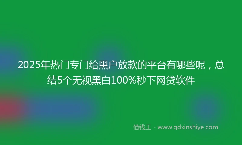 2025年热门专门给黑户放款的平台有哪些呢，总结5个无视黑白100%秒下网贷软件