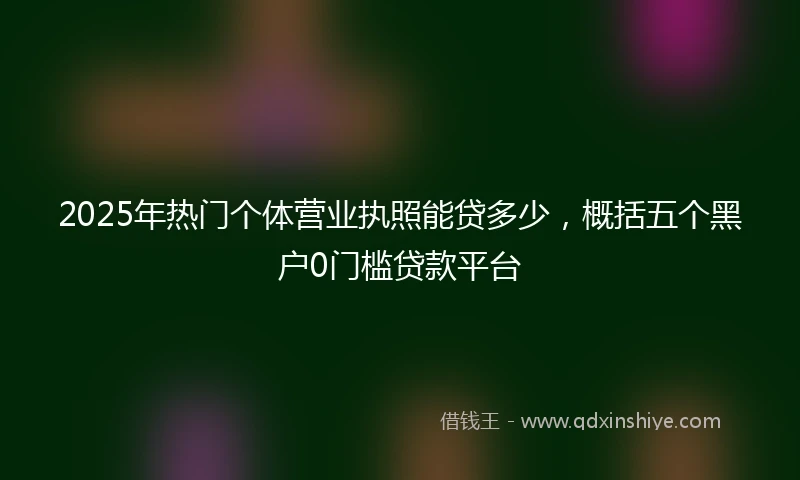 2025年热门个体营业执照能贷多少，概括五个黑户0门槛贷款平台