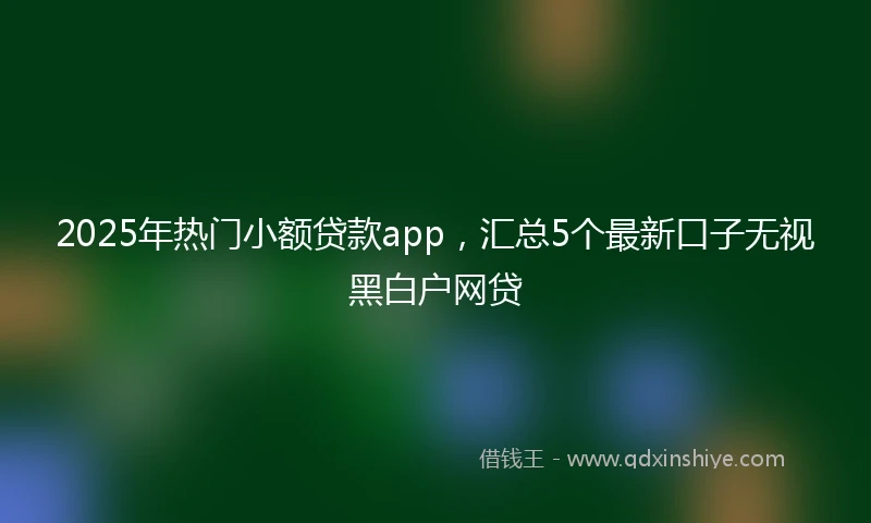 2025年热门小额贷款app，汇总5个最新口子无视黑白户网贷