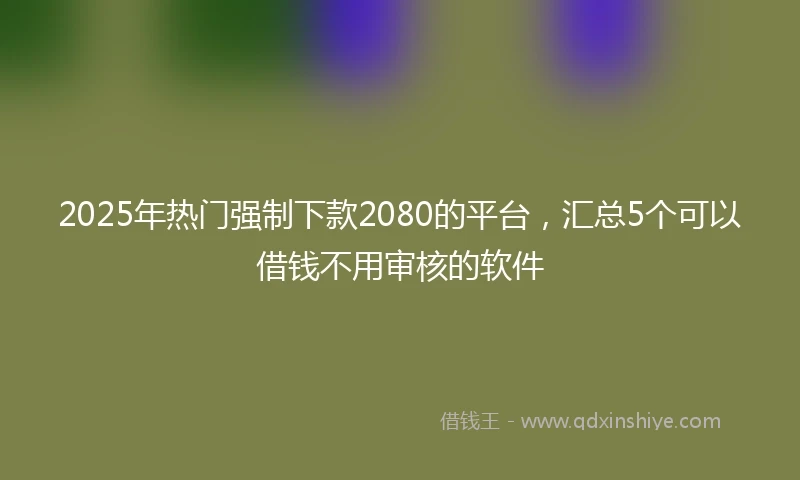 2025年热门强制下款2080的平台，汇总5个可以借钱不用审核的软件