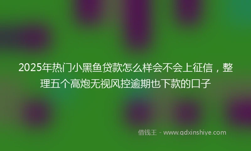 2025年热门小黑鱼贷款怎么样会不会上征信，整理五个高炮无视风控逾期也下款的口子