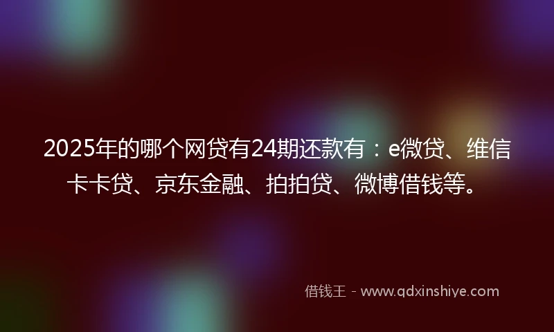 2025年的哪个网贷有24期还款有：e微贷、维信卡卡贷、京东金融、拍拍贷、微博借钱等。