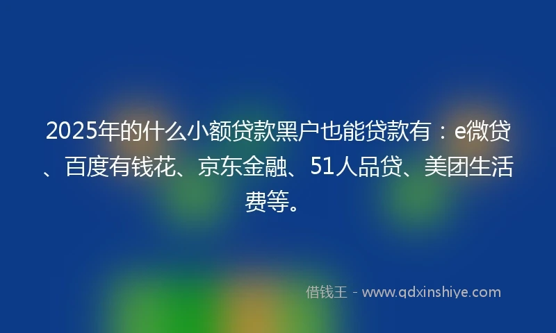 2025年的什么小额贷款黑户也能贷款有：e微贷、百度有钱花、京东金融、51人品贷、美团生活费等。