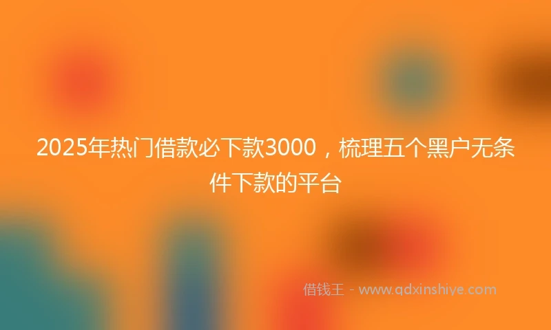 2025年热门借款必下款3000，梳理五个黑户无条件下款的平台