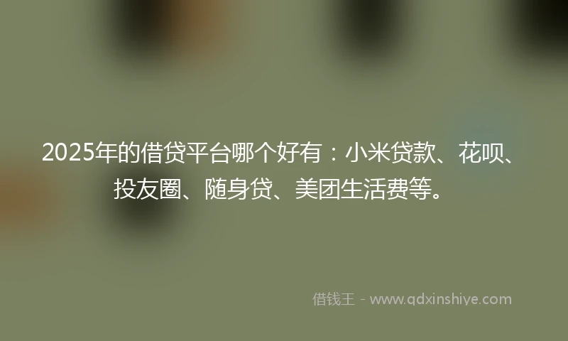 2025年的借贷平台哪个好有：小米贷款、花呗、投友圈、随身贷、美团生活费等。